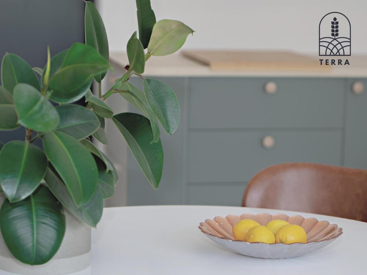 Terra House Villa Ventspils Eksteriør bilde